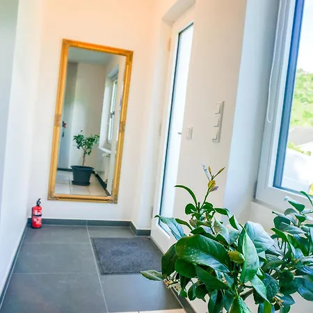 Julias Mosel -