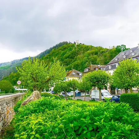 Apartment Julias Mosel - Traben-Trarbach